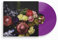 Purple (Ltd.100) NA