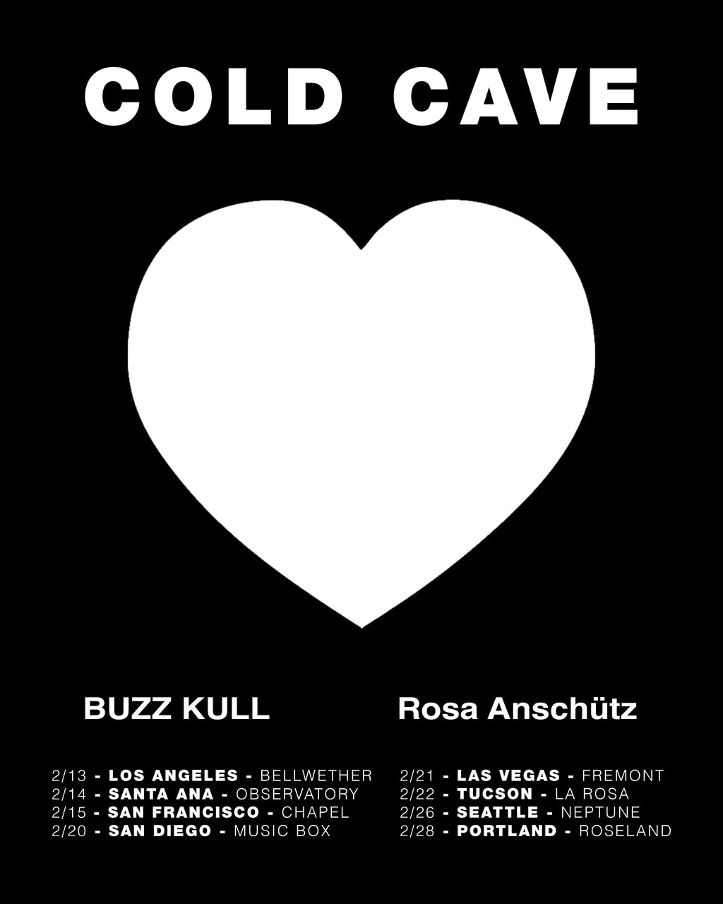 Heartworm on Tour: Cold Cave +  Buzz Kull + Rosa Anschütz live in February