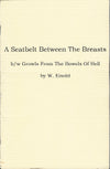 A Seatbelt Between the Breasts