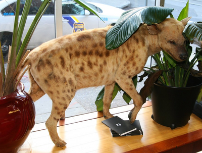 Juanita and Juan’s