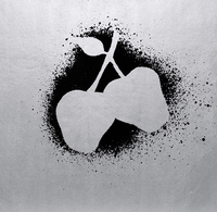 Silver Apples - Self Titled
